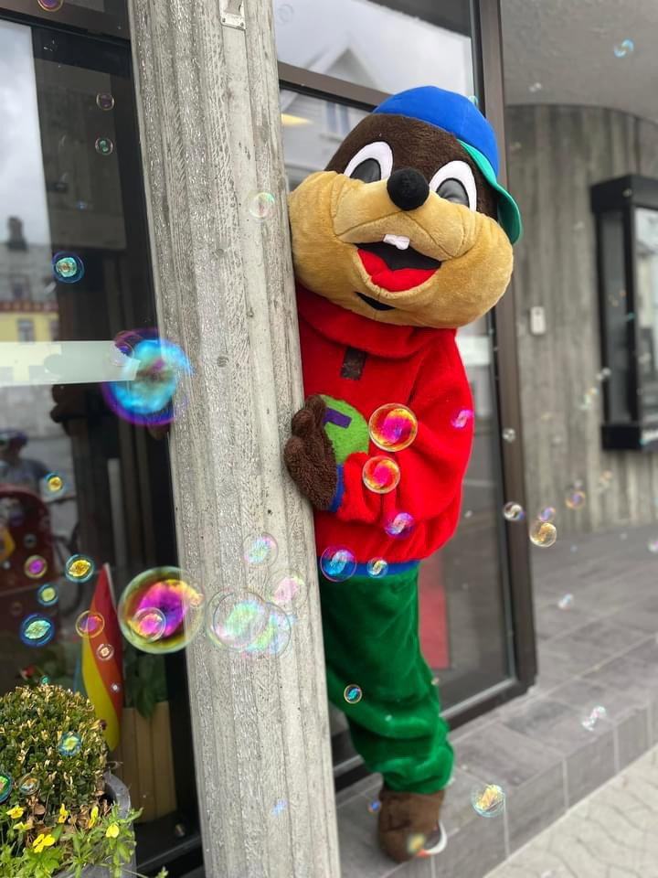 Bilde 07.11.2020, 14 54 18 (1).jpg